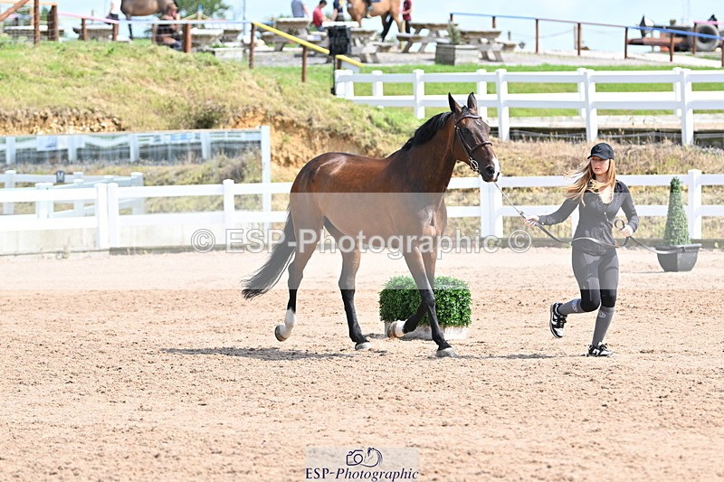 240717A-154110-02976 - Trot Up 3pm to 4pm