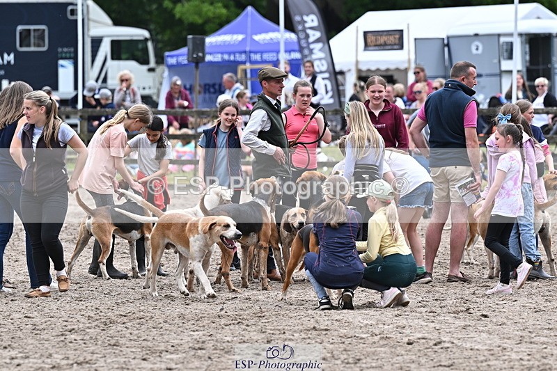 250524A-152442-12732 - East Devon Hounds
