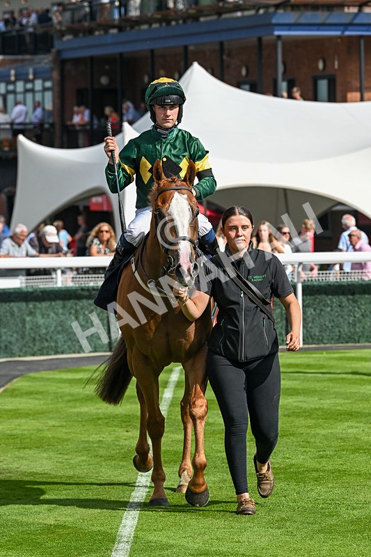 130825-Race 4-Rock Of England-1280 - Race 4