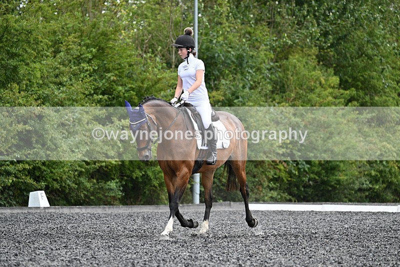 WJ7_0967 - Time 13:47 to 14:00