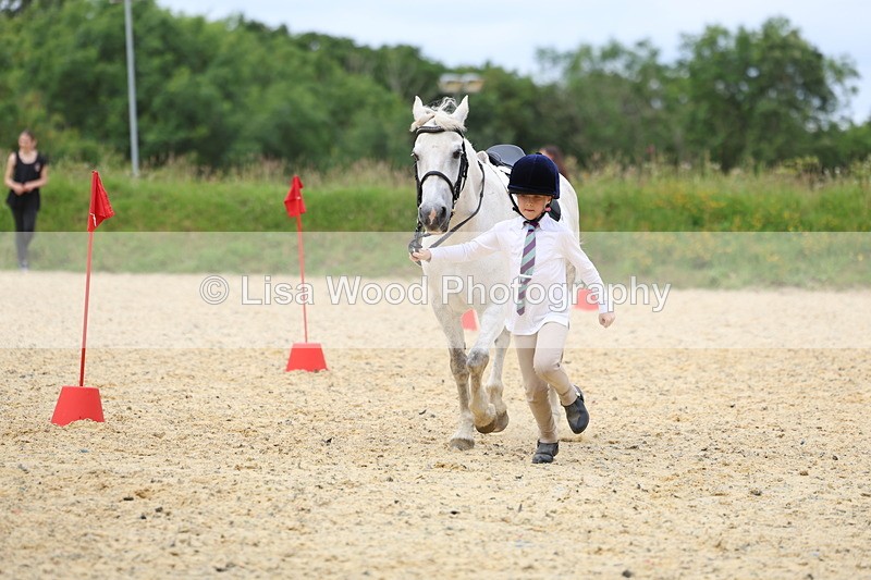 3E7A9416 - Walk trot run