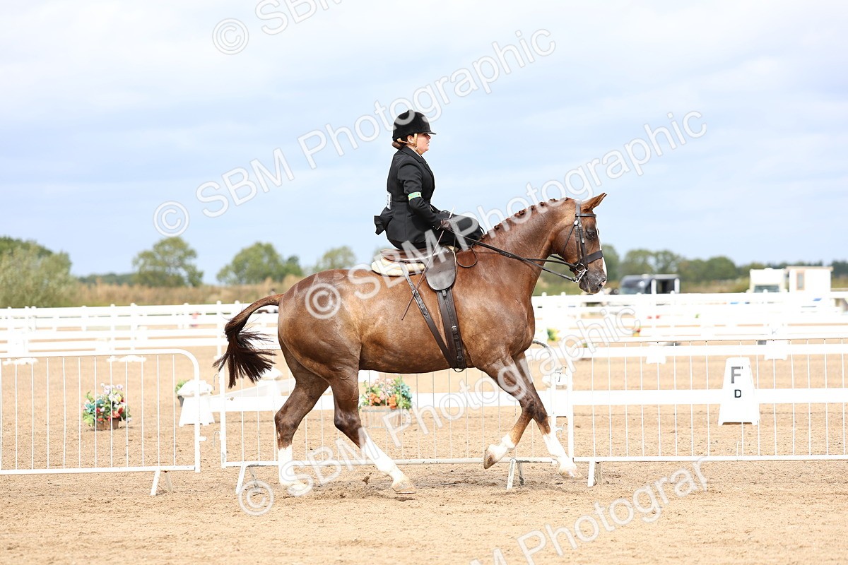 SBM_03404 - Class 24 - SSA Concours d'elegance (any age)