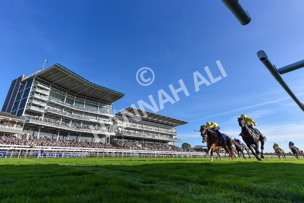 111025-Race 5-Morshdi-2085 - Race 5 Coral 'We're Here For It' EBF Maiden Stakes at York