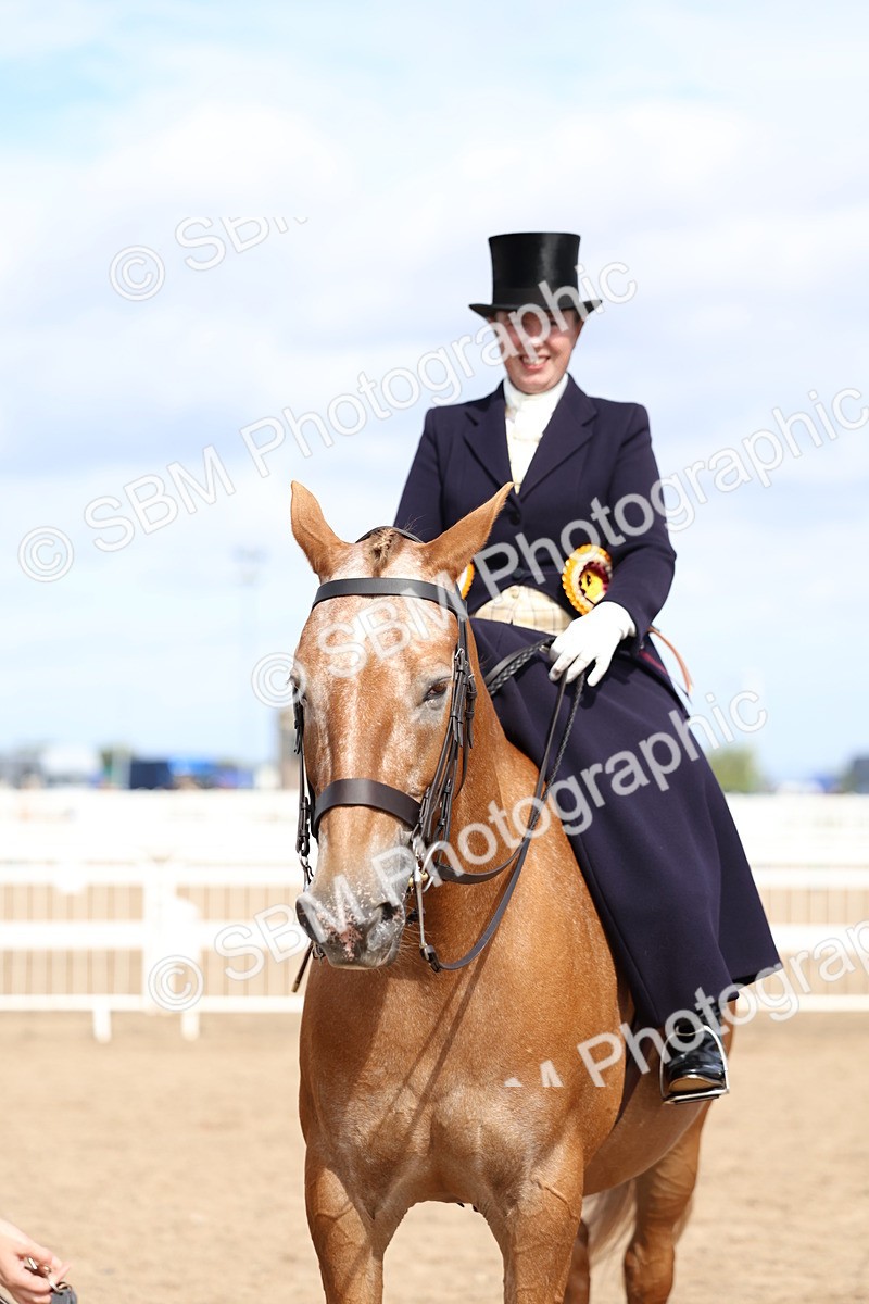 SBM_03273 - Class 22 - SSA Equitation (any age)