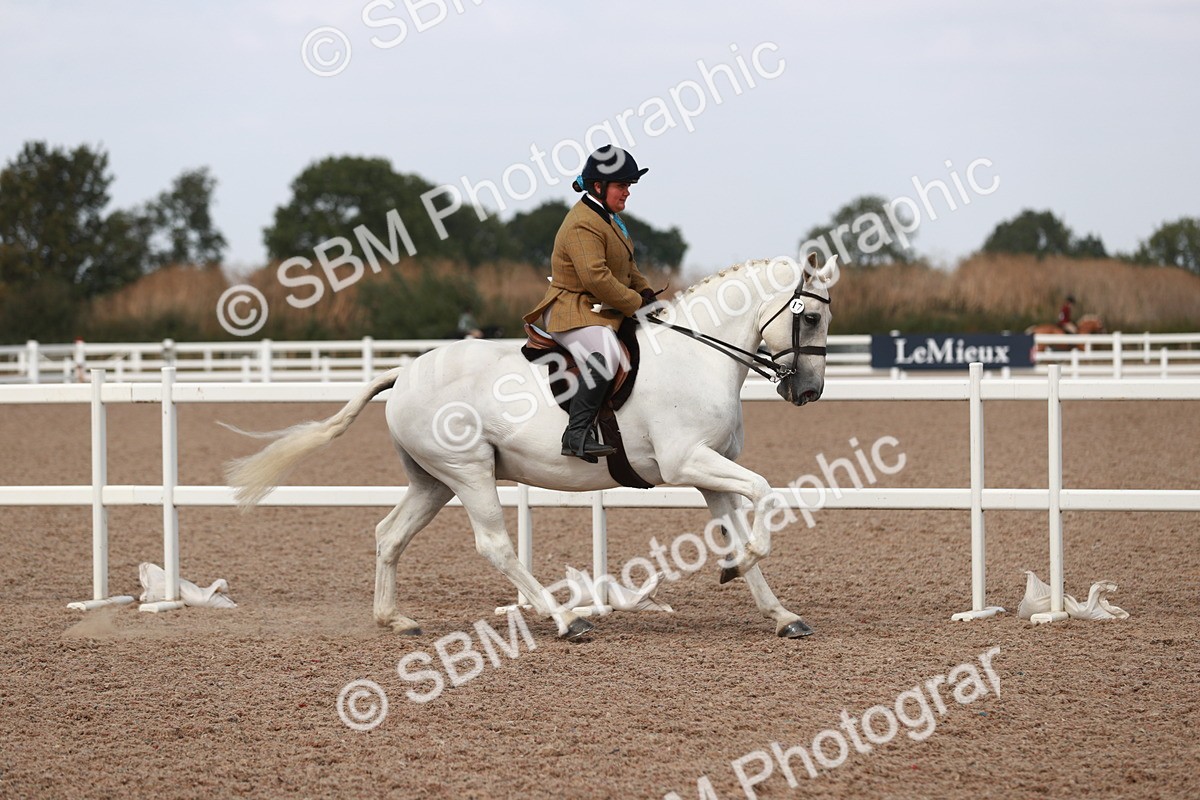 SBM_14942 - Class 212 Ridden Hunter - Small