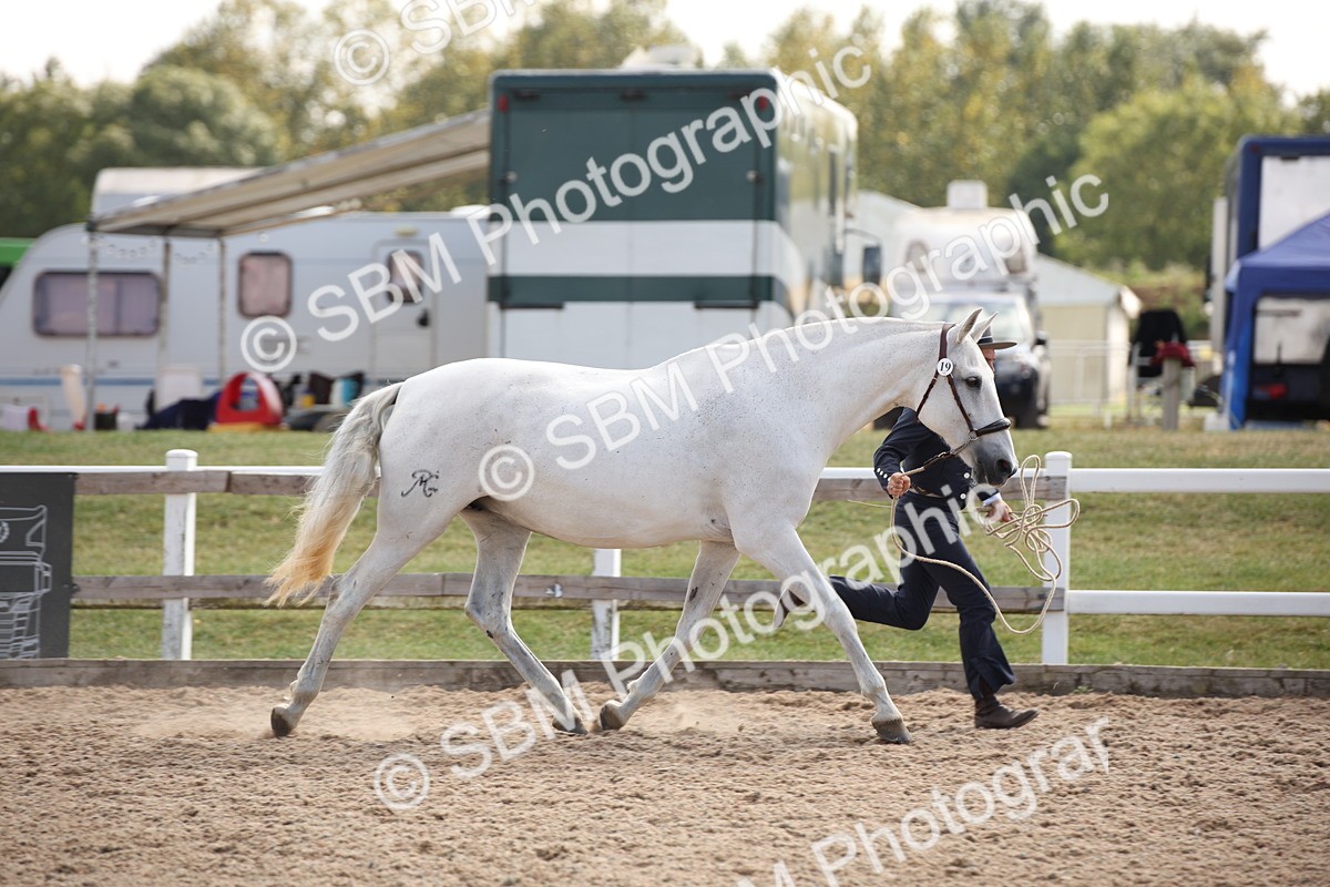 SBM_07062 - Class 25 IH Foreign Breeds- Pure bred