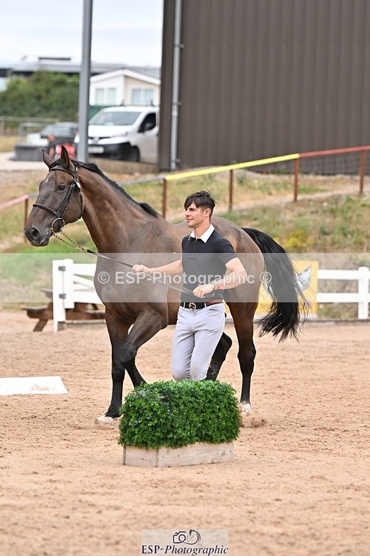 250716-162519-02624 - Trot Up 3.30 to 4.30