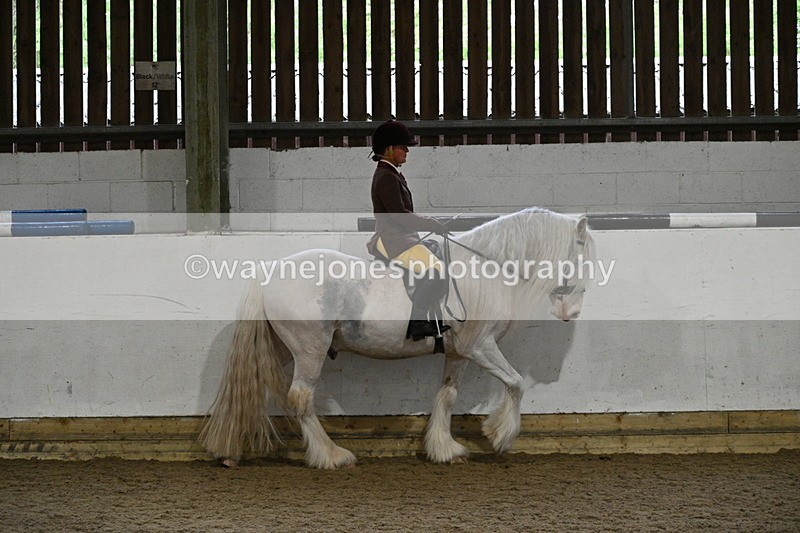 WJ7_3761 - Class 17 Ridden Cob
