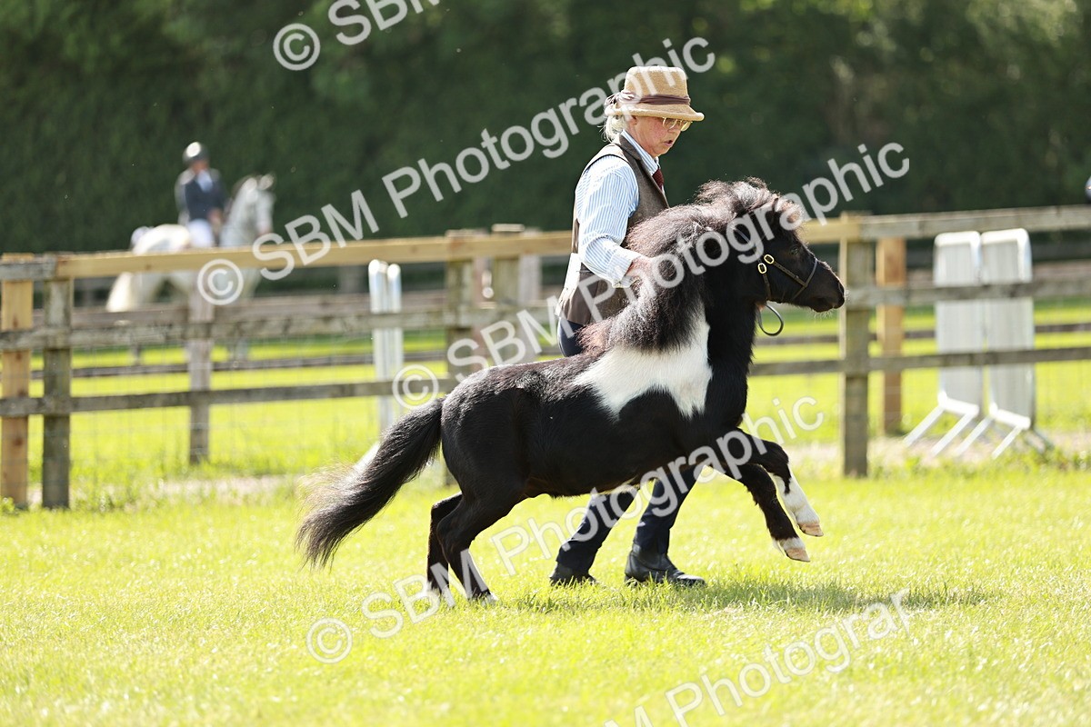 SBM_01896 - Class 14-23 - Mountain & Moorland In Hand Non Welsh