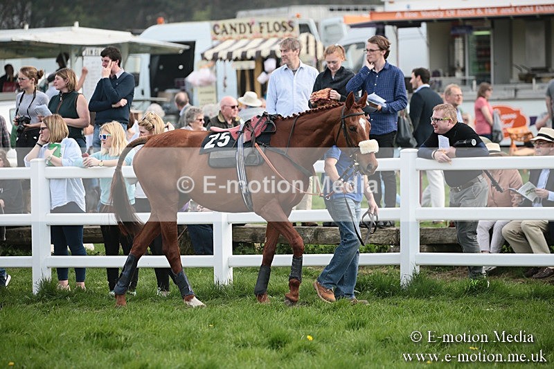 PtP 210418 305 - South & West Wilts Point-to-Point Larkhill 21/04/18