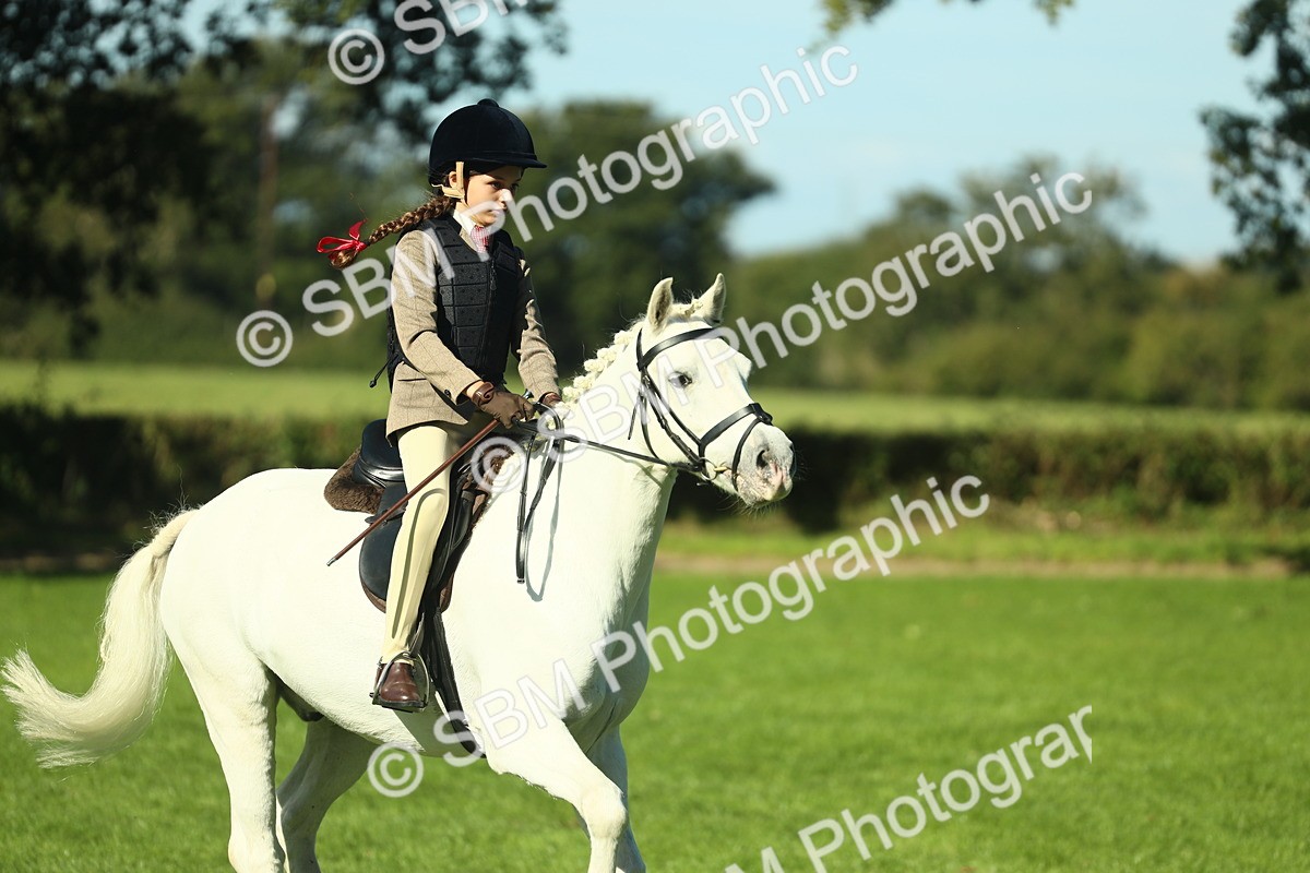 SBM_37506 - S29 - Novice & Newcomers Working Hunter Pony