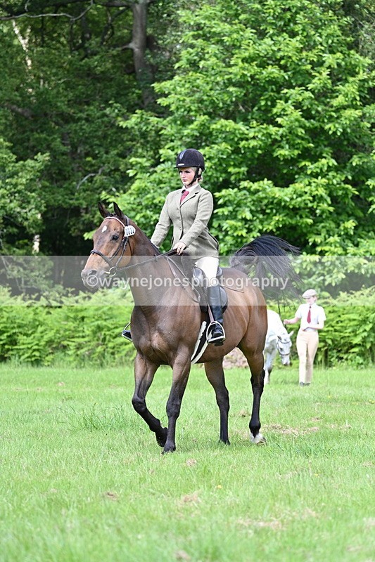 WJ7_1271 - Class 11 Condition & Turnout