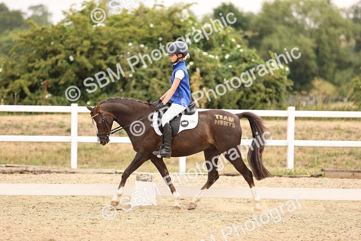 SBM_006404 - Intro 3 - 9.46-10.46