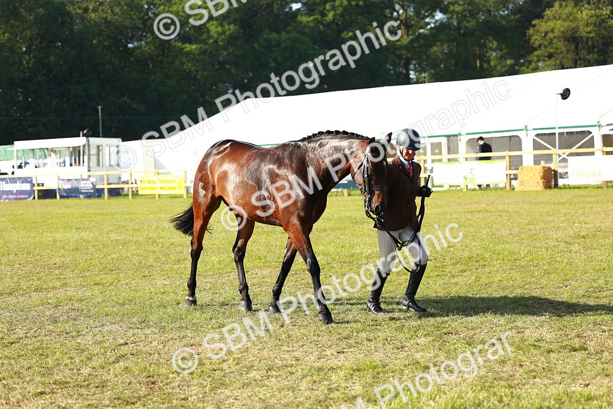 SBM_10802 - Class 66-69 - RIHS Ridden Hunters Inc Small Hunter