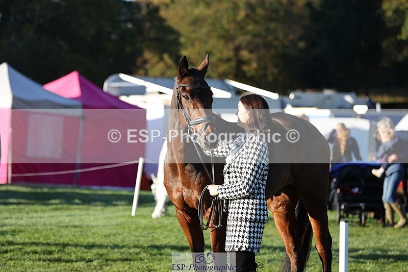 241027-083228-14657 - 390-Pippa.Howell-Phippard-NO.LIMIT.II