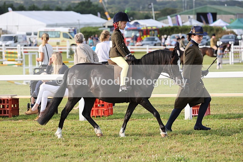 JPP_0189 - Class 14: Cornish Combination Leading Rein