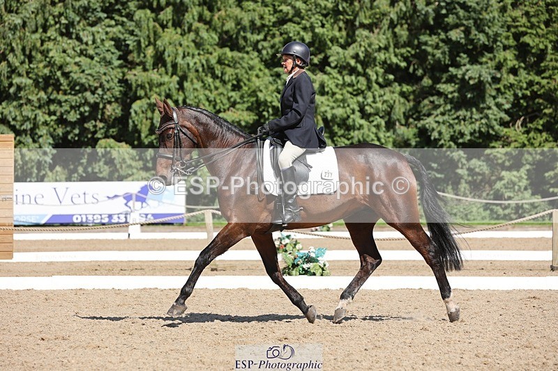 240719-155637-02999 - 237-Sue_Lanz-Wellshead_Foxtrot