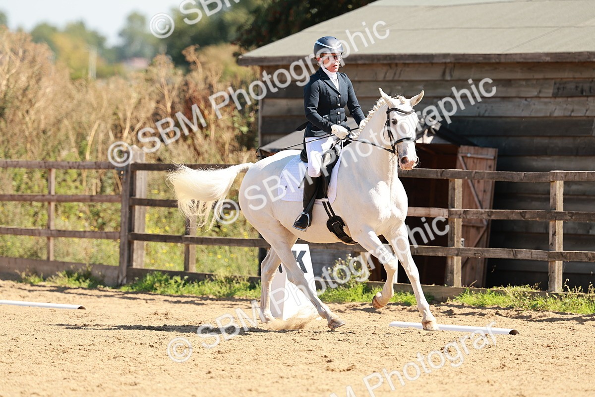 SBM_011119 - Class 6 - Novice 1