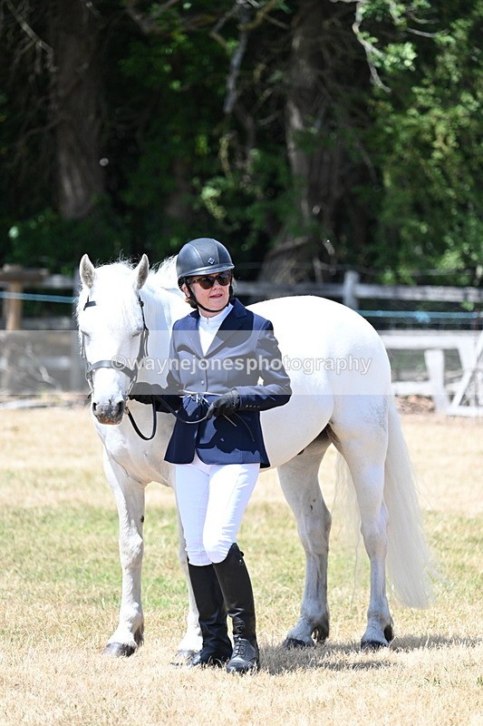 WJ7_2395 - Class 5a Most Handsome Gelding in hand (above 14.2hh)