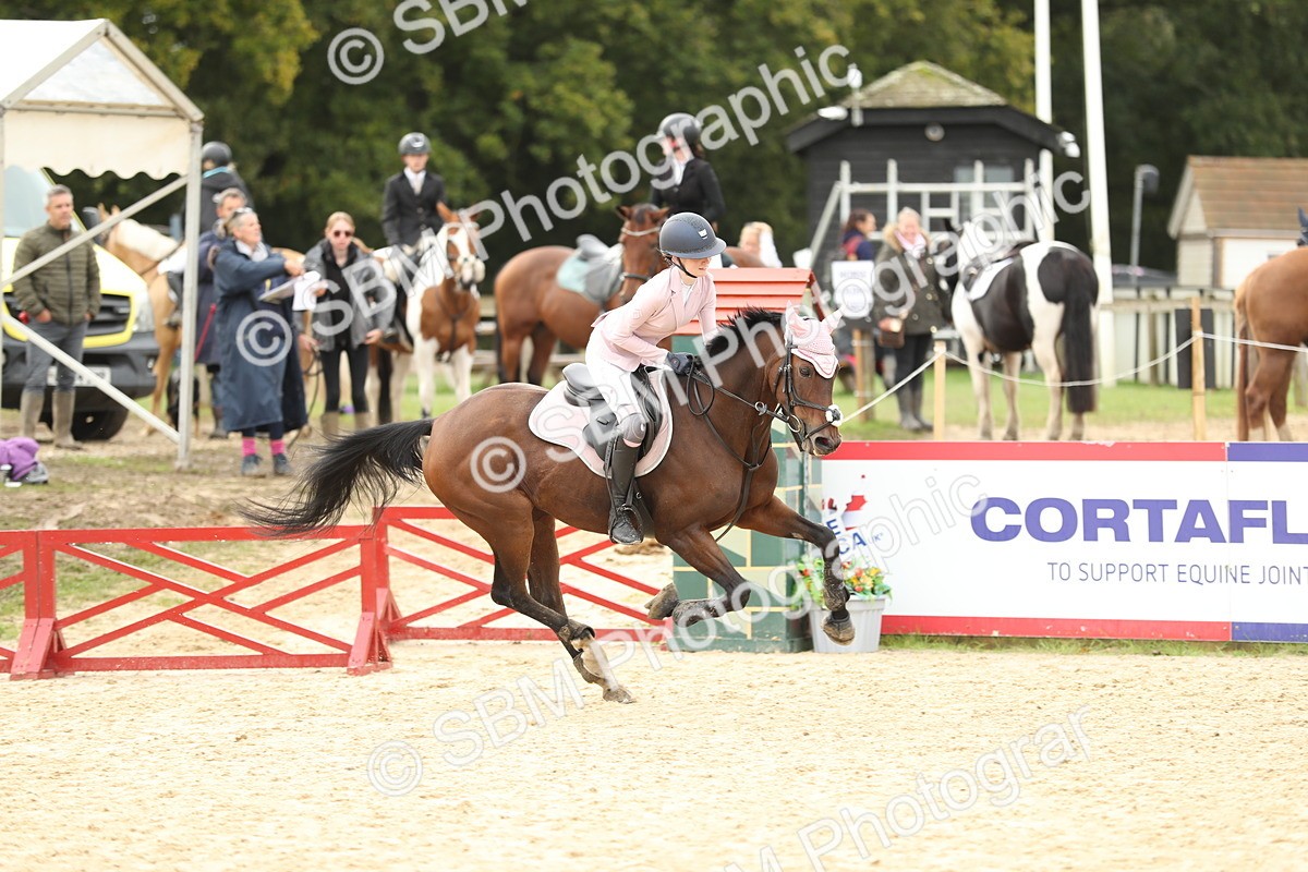 SBM_58666 - J25 - Junior Horse 80cm Championship