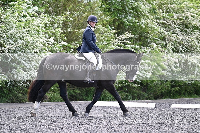 WJ7_9014 - Time 11:32 to 11:54