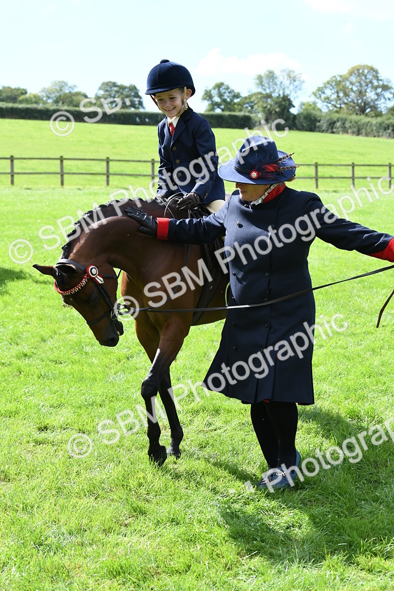 SBM_41242 - S19 - Lead Rein Show & Show Hunter Pony