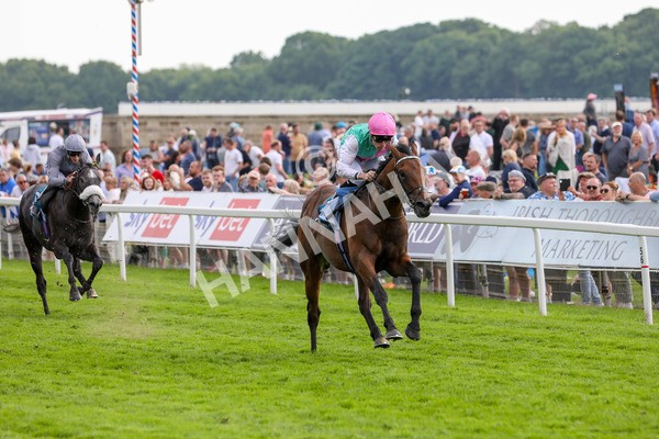 170524-Race 5-Lead Artist-2242 - Race 5 4.15pm  Darley EBF Novice Stakes