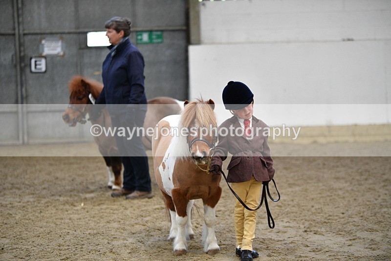 WJ5_5105 - Class 7 In hand coloured / odd coloured