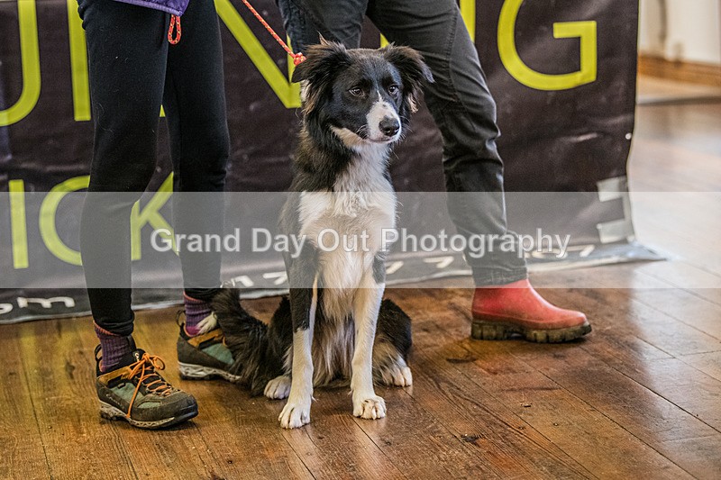 Stybarrow Dodd-25 - Kong Running Stybarrow Dodd Fell Race Saturday 29th November 2025