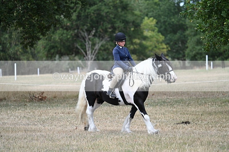 WJ7_4664 - Class 12 Ridden Cob