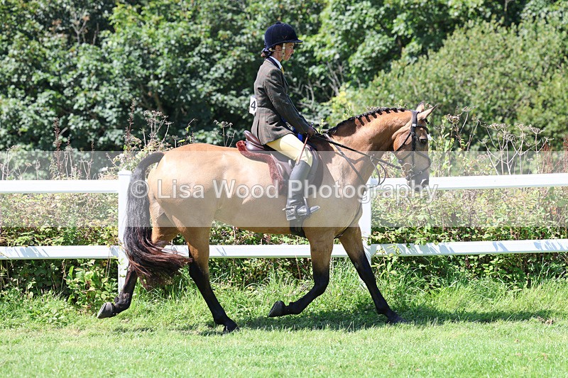 3E7A9117 - Working Hunter Championship