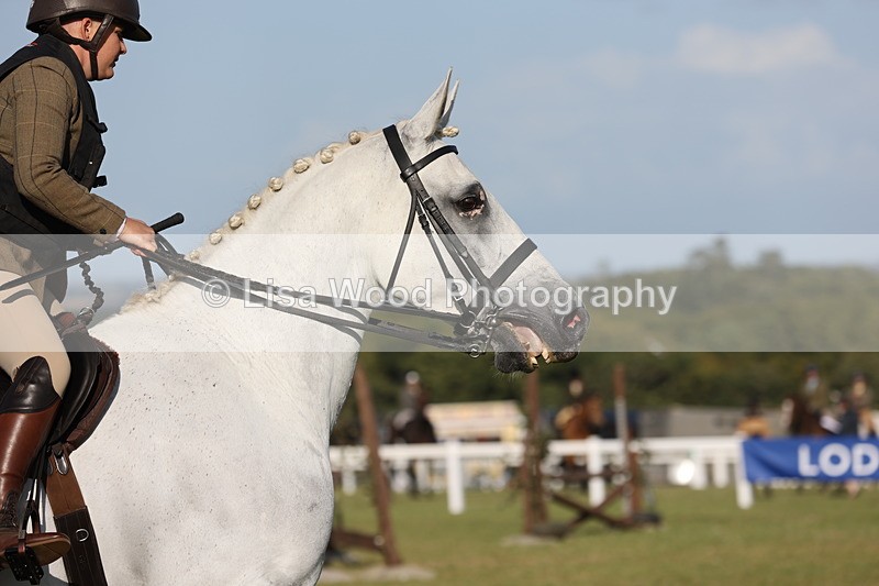 JPP_3329 - Class 22: Working Hunter 90cm