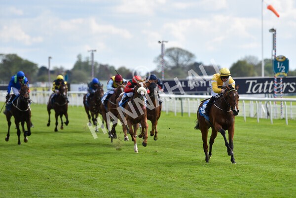 yr12052021r5-20 - Race 5 3.40pm Sky Bet Stakes
