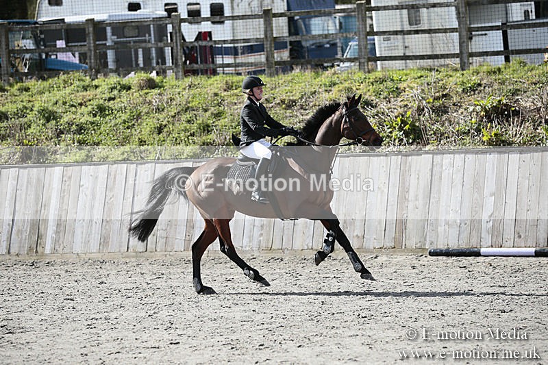 BVRC SJ 170319 406 - Bourne Valley Riding Club Showjumping 17/03/19