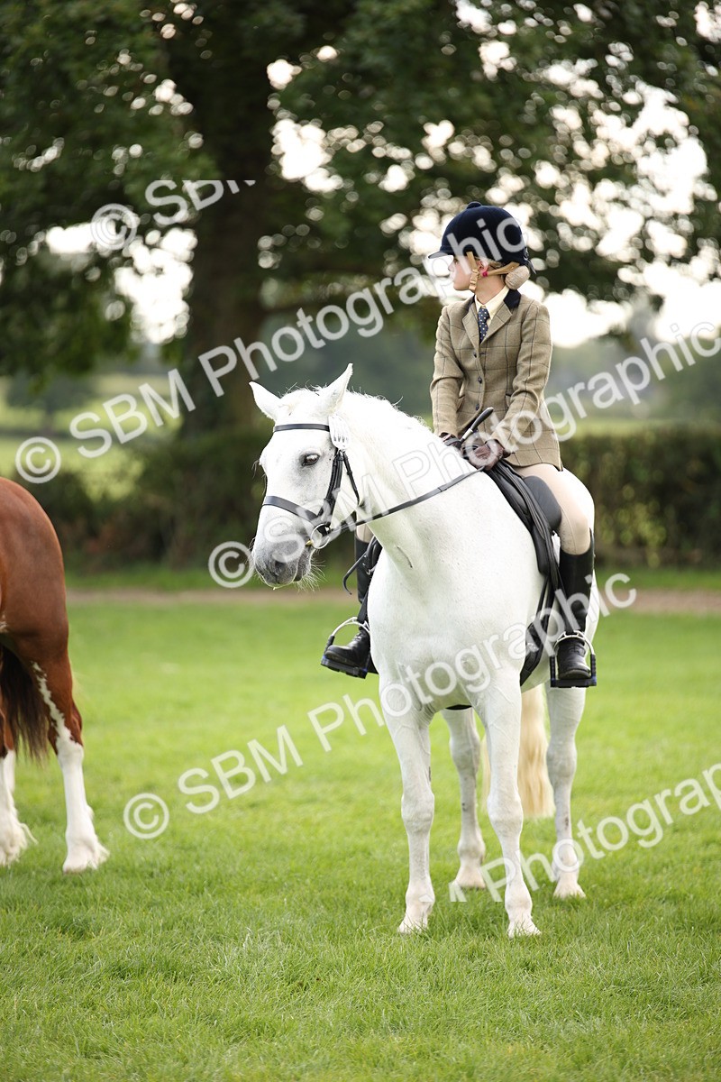 SBM_50003 - S26 - Young Veteran - Ridden