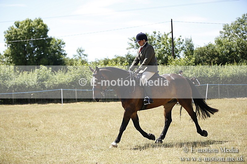 _C7A9880 - BVRC Show 2018 Ring 1