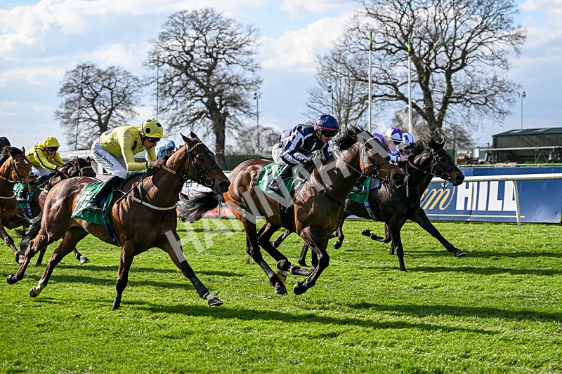 100426-Race 5-Myal-3421 - Race 5