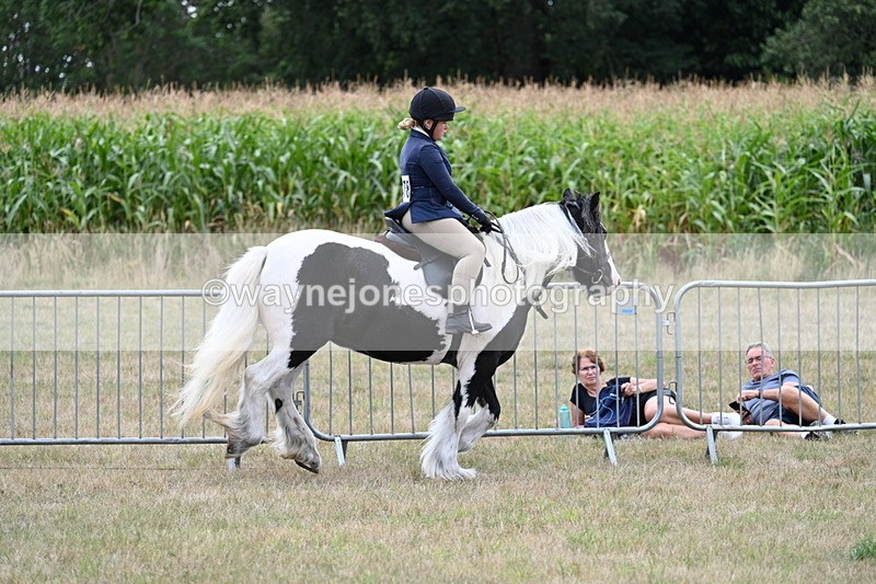 WJ7_5351 - Class 12 Ridden Cob