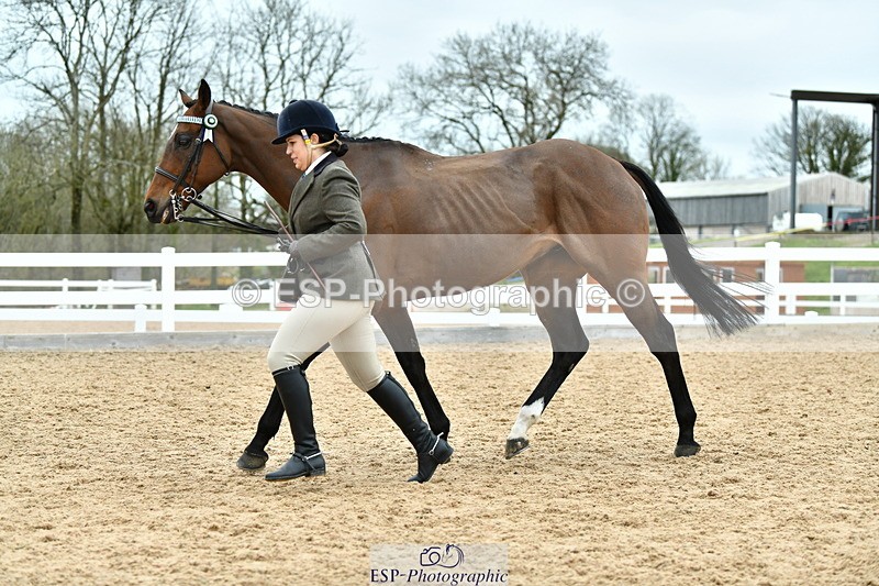 230416A-144317-05286 - Cls 64 Racehorse to Show Horse