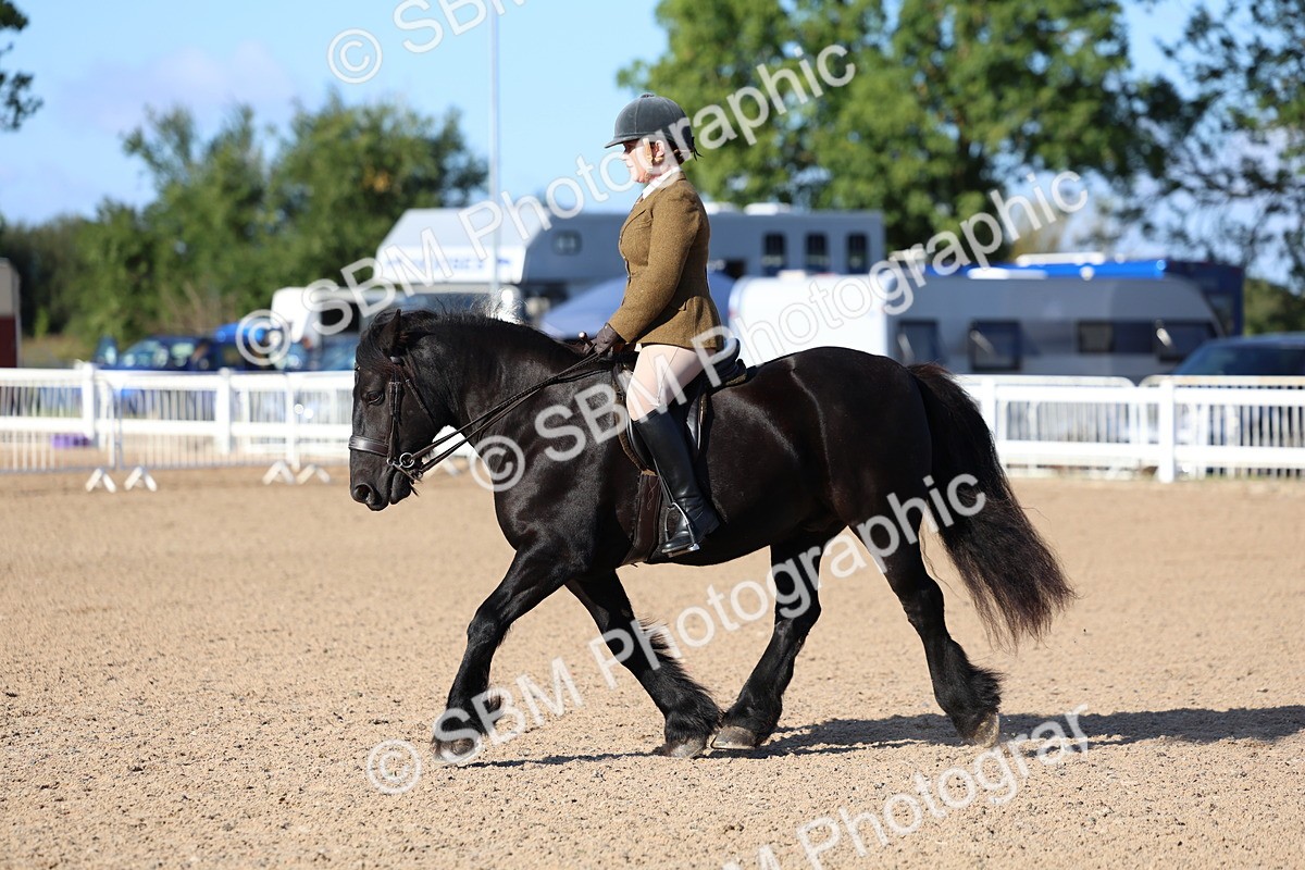 SBM_08880 - Class 302 - Ridden M&M - Large Breeds