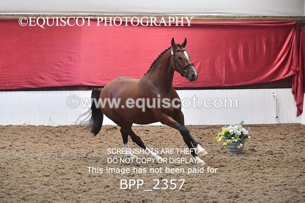 BPP_2357
