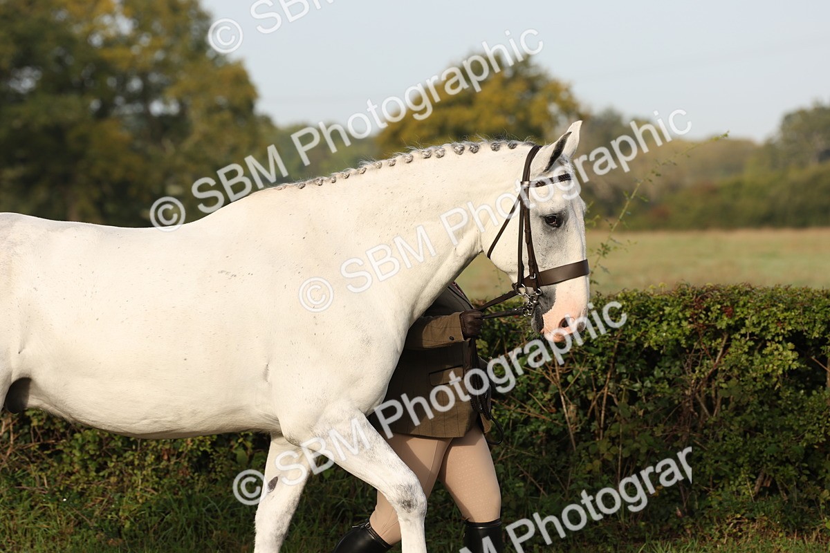 SBM_54656 - S53 - Hunter In Hand