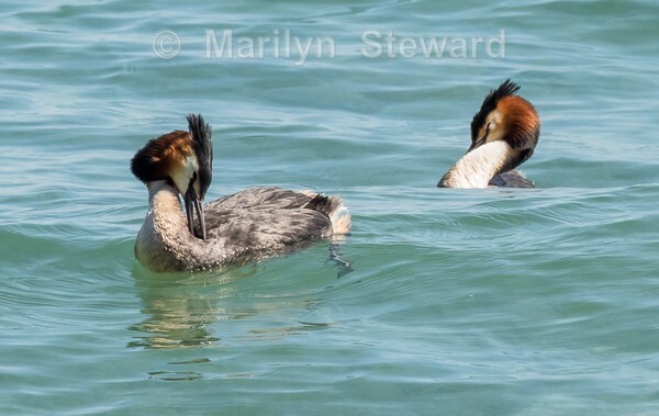 Lake Garda -48 - Lake Garda, Verona and Venice