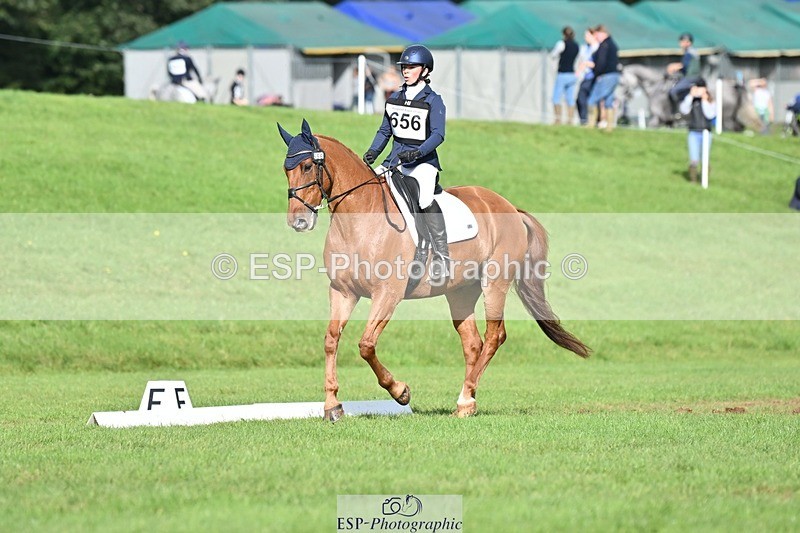 231020-120554-08313 - 656-DUNARD.RED.KNIGHT-Naomi.Watkins-DR