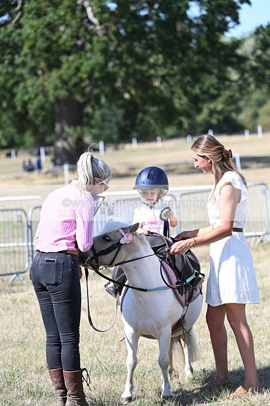 WJ7_1360 - Class 41 Prettiest Mare