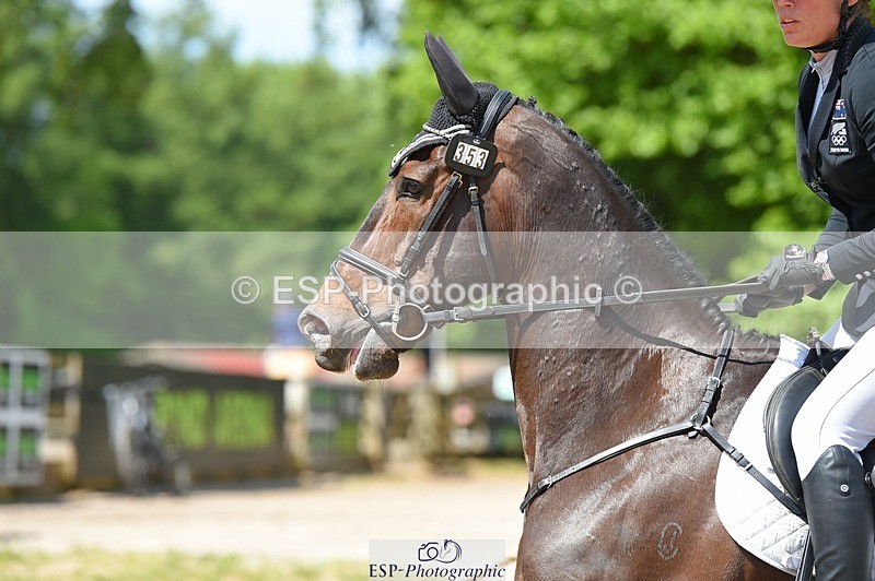 230528-112812-15223 - 353-THE_RIPPER-Bundy_Philpott-SUNTrotUp+SJ