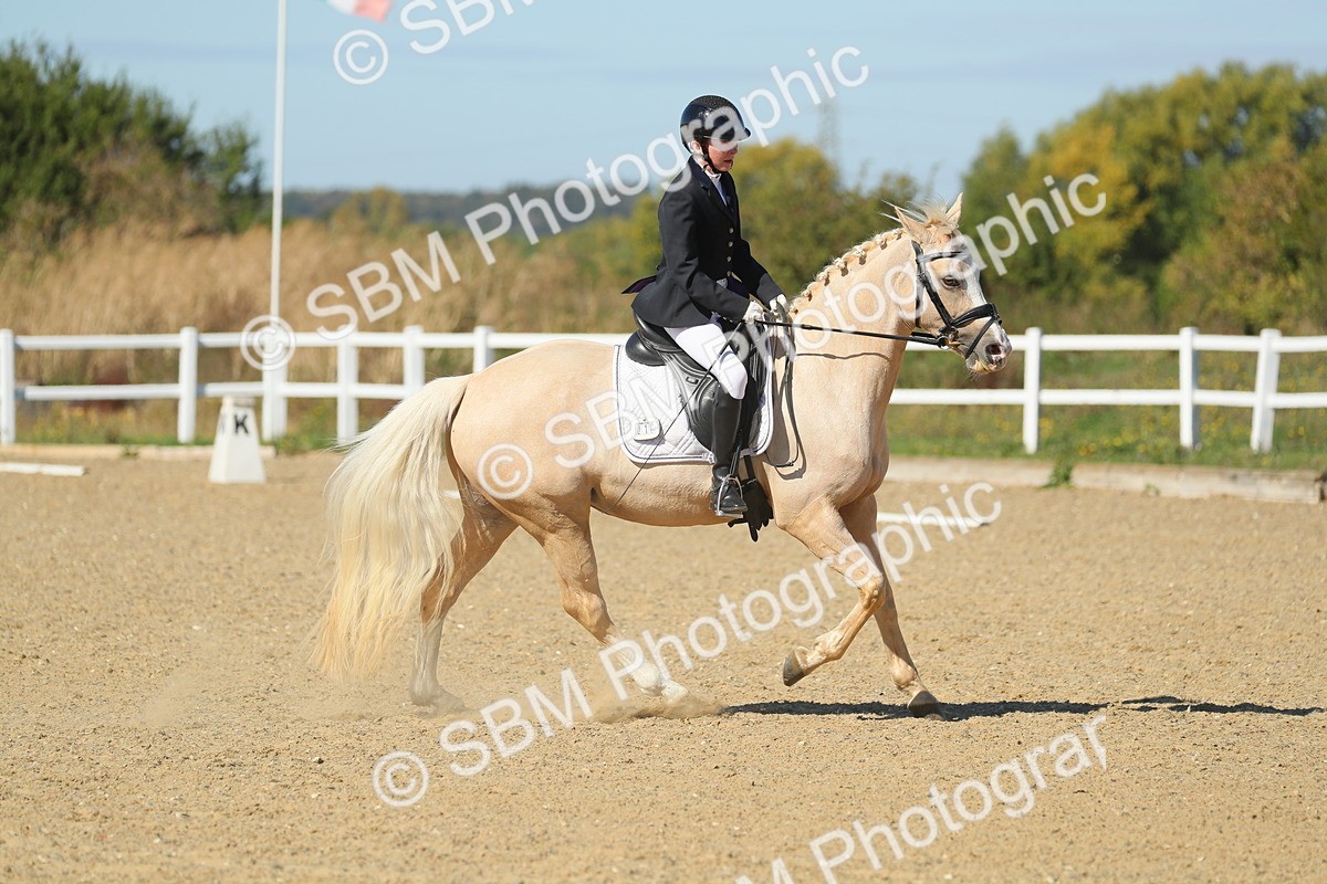 SBM_001561 - Class 7 - E4
