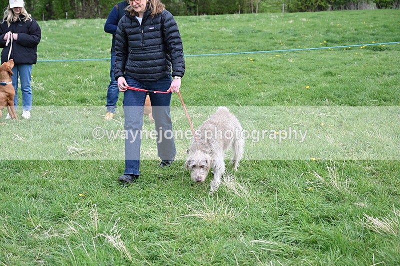 WJ6_8138 - Class 2 Best Pedigree