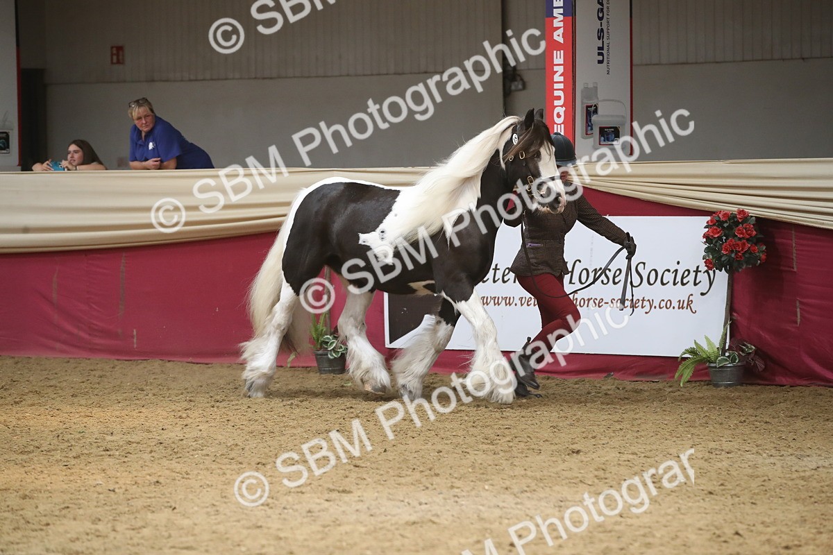 SBM_05555 - Class 9R - Regional IH Pre-Vet
