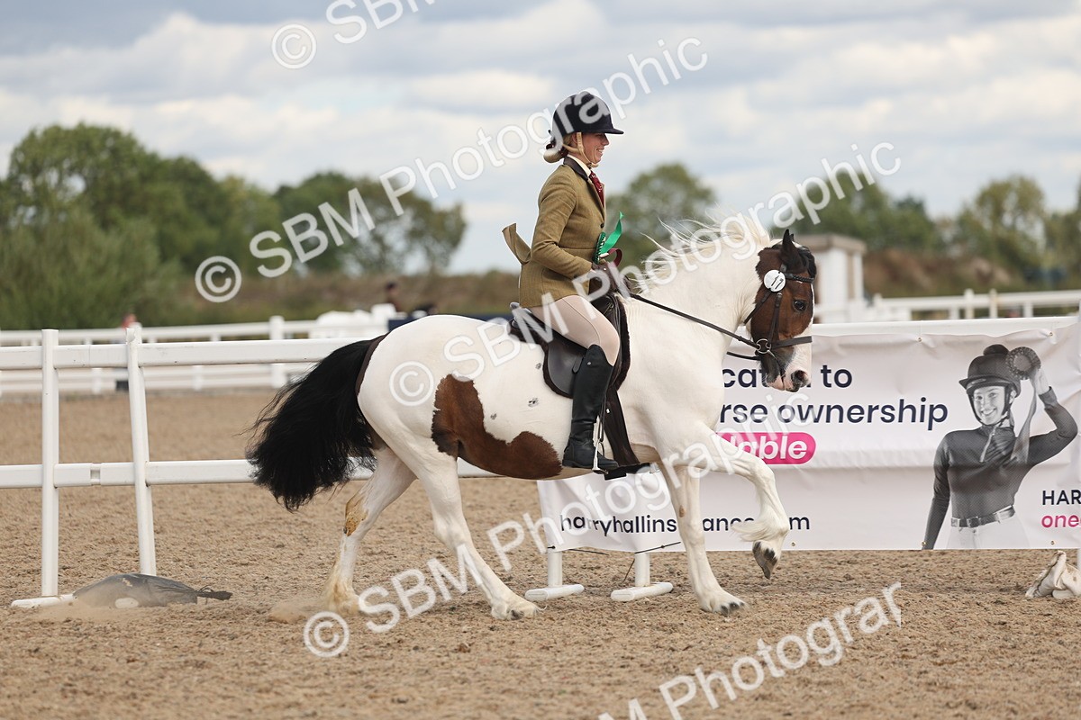 SBM_14710 - Class 307 - Ridden Coloured Pony